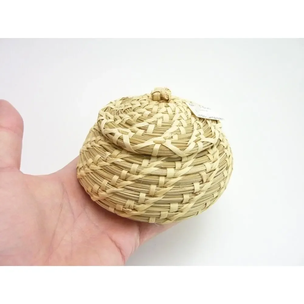 Vintage Native American Indian PAPAGO Lidded Basket